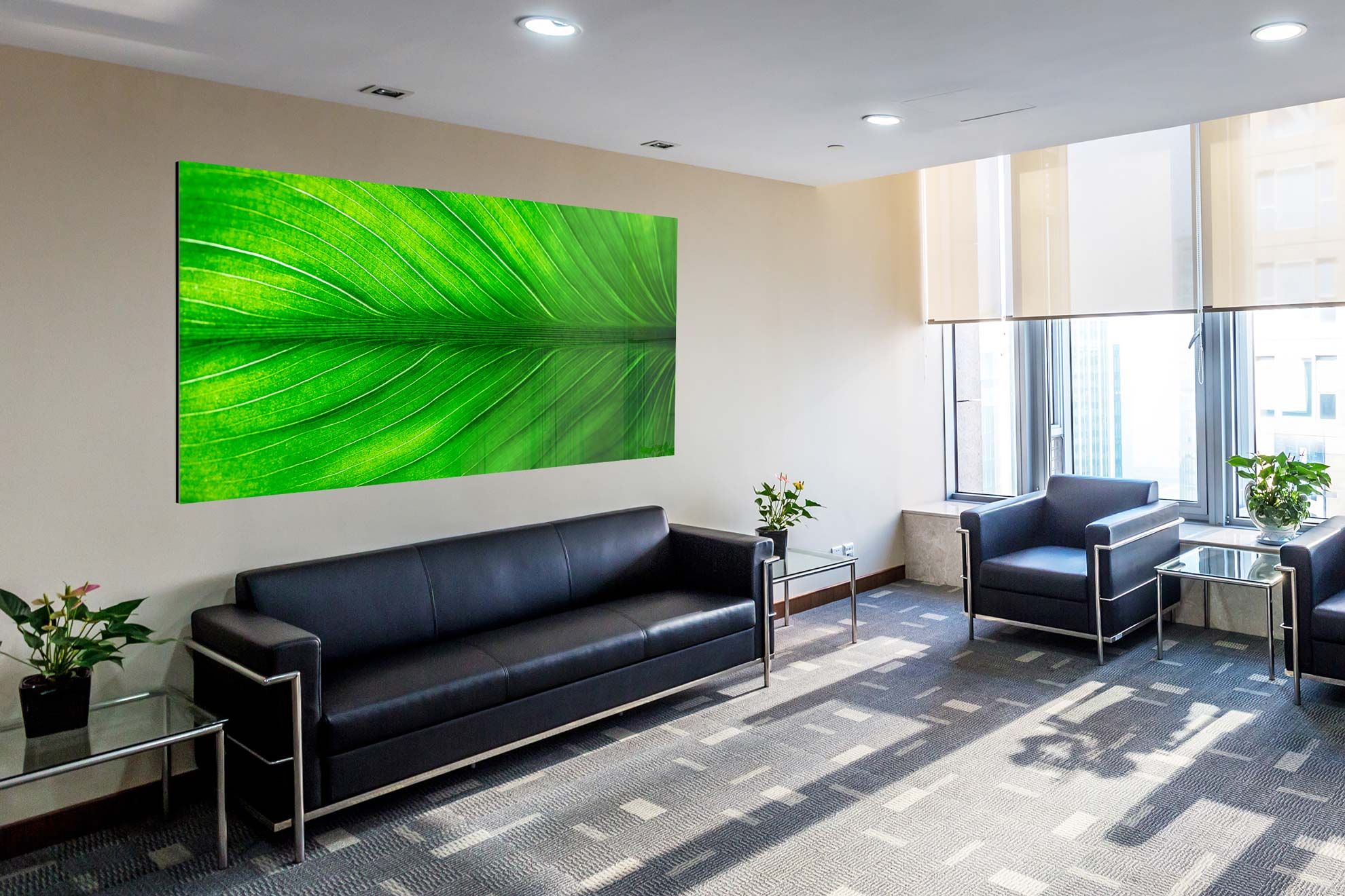 This photographic print on aluminum Dibond showcases the exceptional color vibrancy and sharp detail achievable with Kodak photographic printing technology. The dynamic green tones demonstrate the vivid, rich color reproduction that brings abstract nature imagery to life. Ideal for modern office interiors and professional gallery spaces seeking lasting, vibrant wall art.