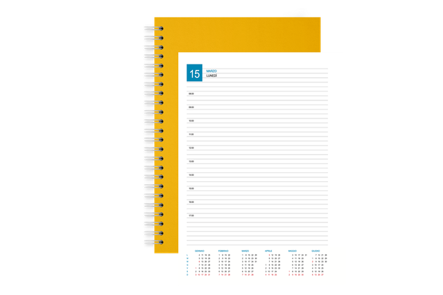 * 1 day per page
* 336 pages
* 2 printing template