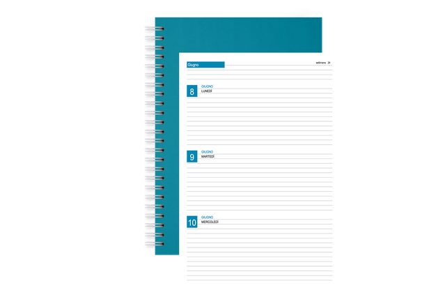 1 day per page
* 336 pages
* 2 printing template