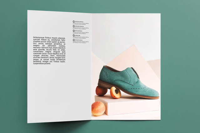Open A4 foldable brochure displaying product showcase layout Professional A4 tri-fold brochure with marketing content and product photography for launches. Sprint24.