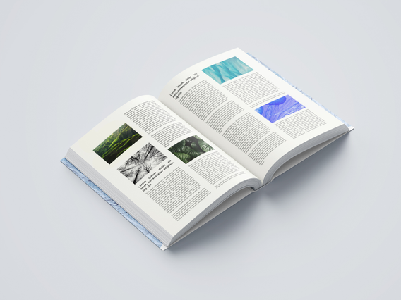 Experience professional wire-bound publications ideal for personalized catalogs and marketing materials. Wire threading binding combines durability with refined aesthetics for high-impact presentations. Our custom printing solutions deliver quality results with fast, reliable turnaround times.