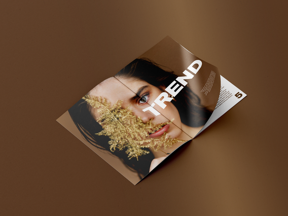 Create and customize professional brochures online with our print service. This premium brochure mockup showcases high-quality printing finishes and design flexibility for your marketing materials at competitive prices.