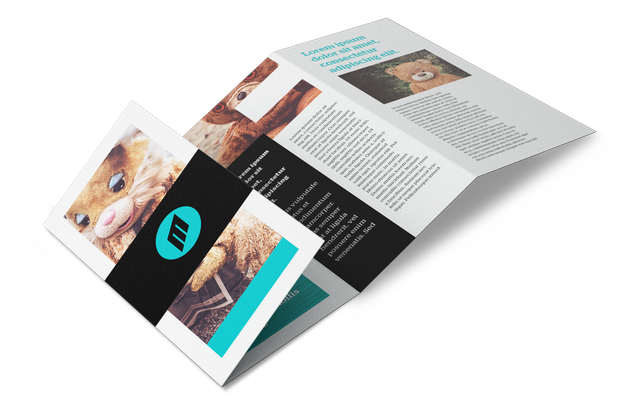 Double Parallel Fold Brochures: Printing Online Custom UK: Are you looking for a double parallel fo…